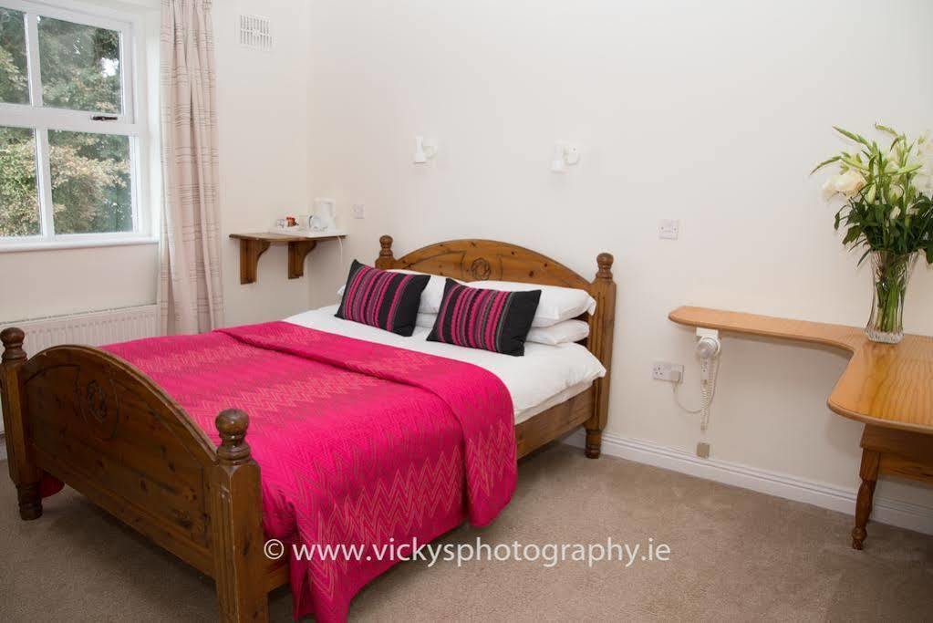 The Townhouse Bed and Breakfast Kilkenny Eksteriør billede